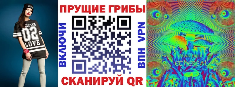 Купить где  Сергач  Псилоцибиновые грибы GOLDEN TEACHER 